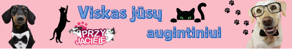 Zwierzęta lit