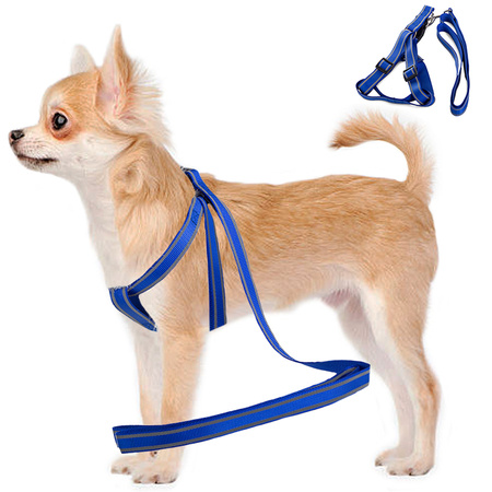 Cat harness + leash reflective col 2,5cm