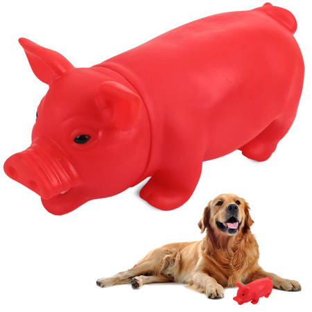 Dog toy squeaky teether pig pig