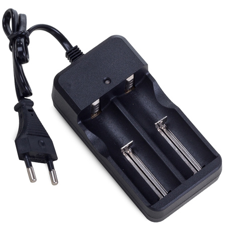 Double charger for battery cells