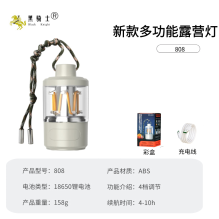 Hanging lamp 808 (100)