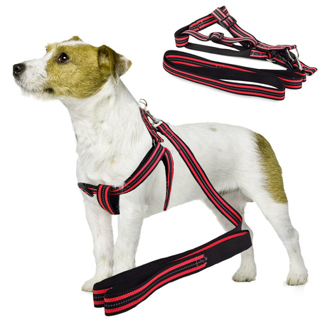 Harness for a cat dog + 2.5 cm reflective leash
