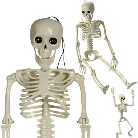 Human skeleton hanging 40cm halloween decoration artificial skeleton