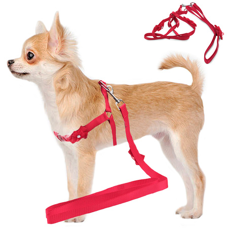 Leash With Braces Cat Dog Harness P1