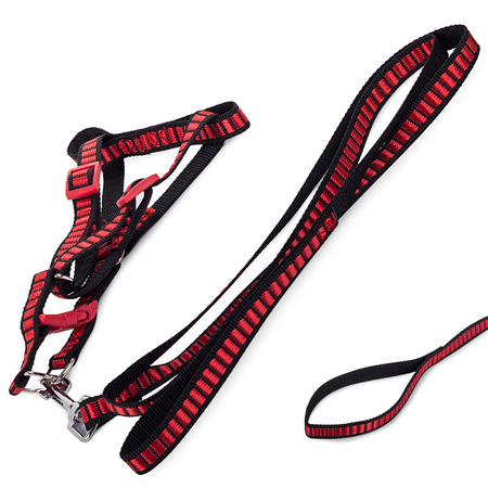 Leash with harness, dog harness 1.5 cm strong