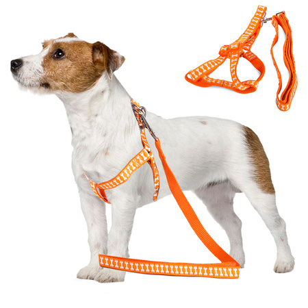 Leash with harness harness for dog cat rabbit R2