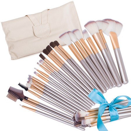 Set of 24 professional make-up brushes case