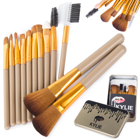 Set of professional make-up brushes 12 pcs