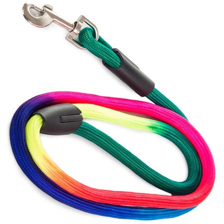 Traditional stylish leash for a dog 120cm / 1.2cm strong