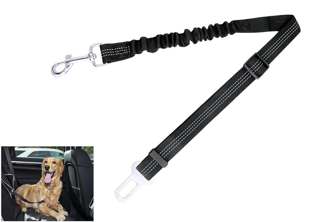 dog elastic leash