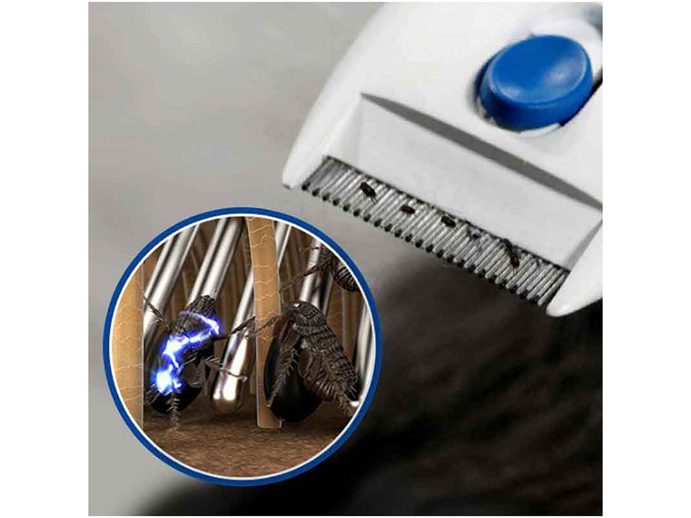 Electric pet flea outlet comb