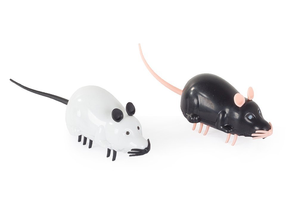 motorized mouse toy