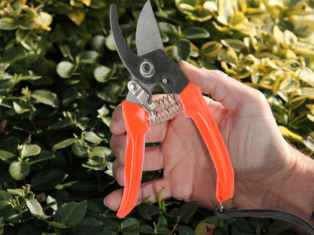 Garden hand pruning shear shrub shears | CATEGORIES \ Garden \ Tools ...