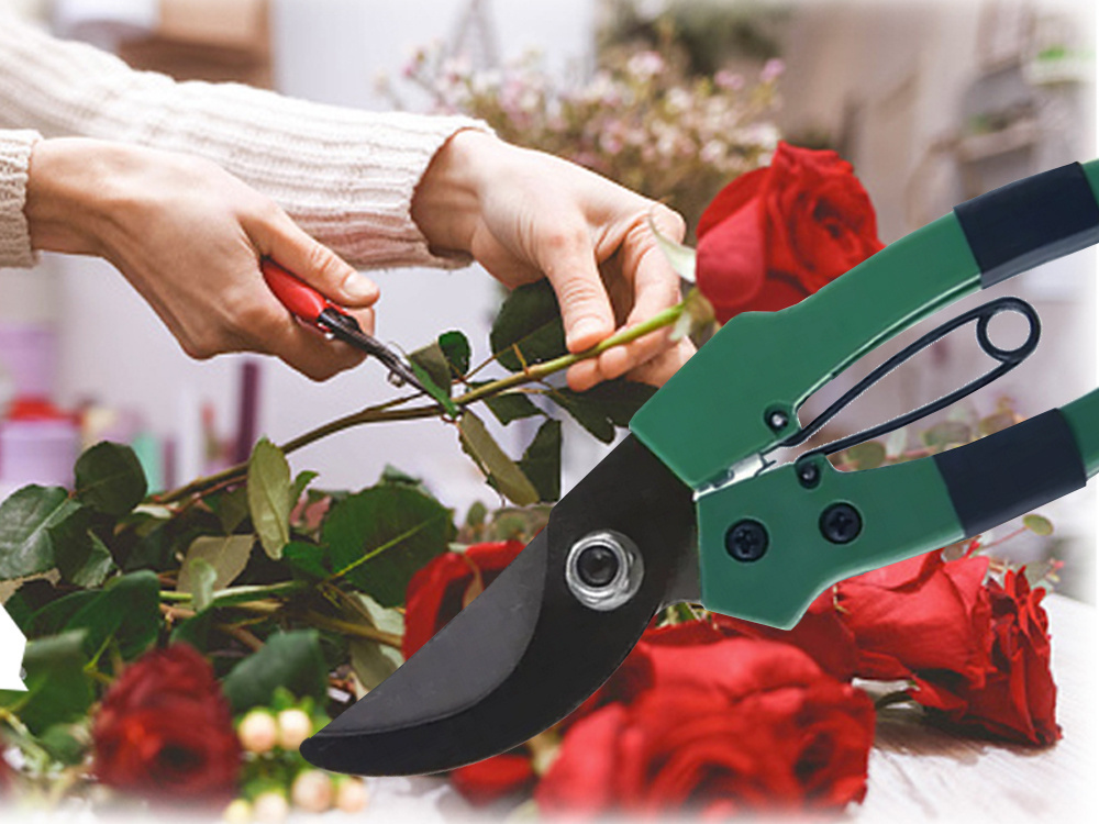 Hand pruning shear for shrubs pruning shears for plants CATEGORIES