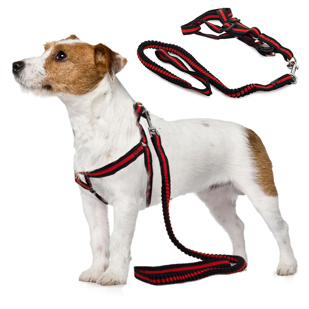 Lanyard with extendable shelters dog cat 125cm CATEGORIES Pet