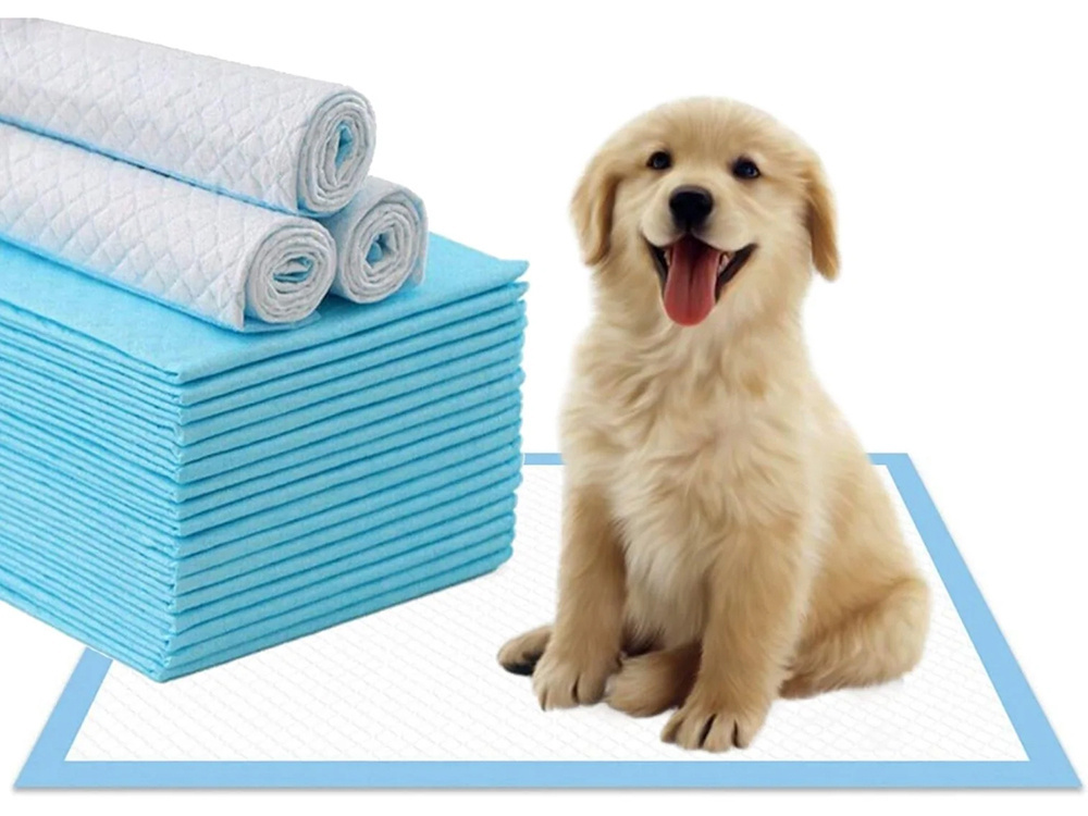 Materials for dogs teaching to pee 45x60 50 sizes CATEGORIES \ Pet accessories \ Hygiene