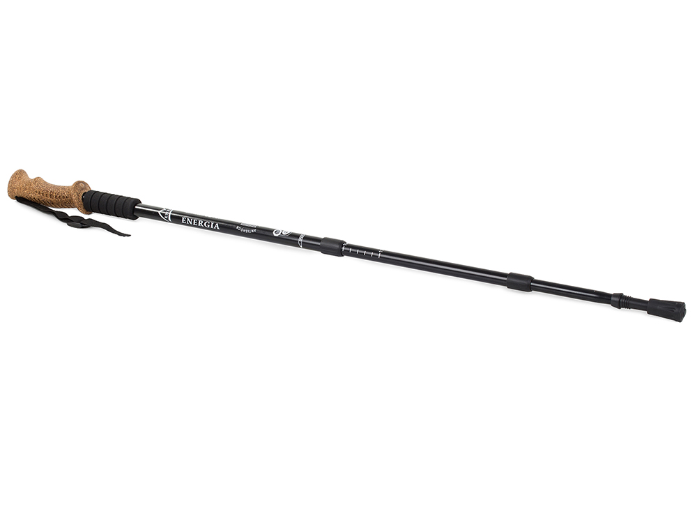 Swissgear hotsell walking stick