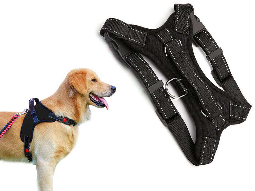 Sturdy 2024 dog harness