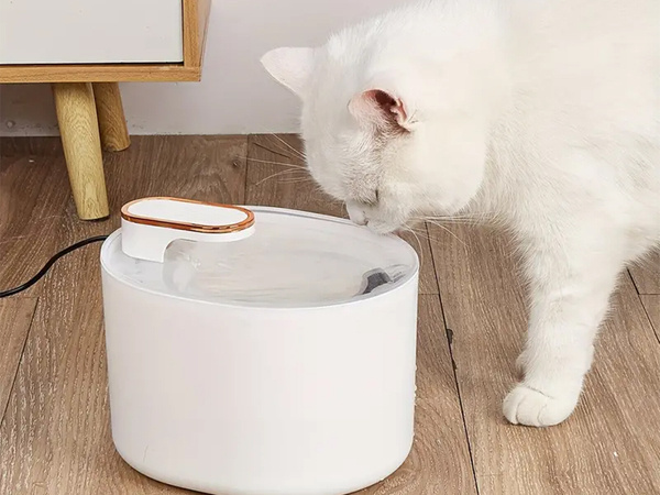 Automatic cat waterer dog water fountain filters water bowl