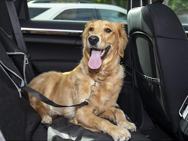 Car seat belt for dog safety leash