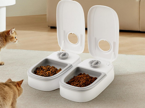 Double bowl for dog cat automatic food dispenser timer large