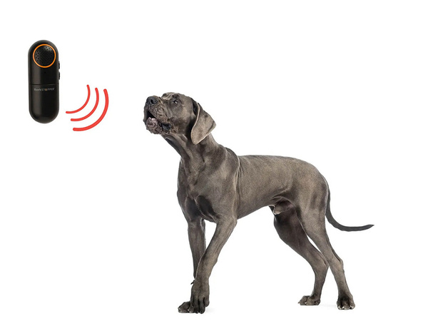 Electronic ultrasonic dog repellent