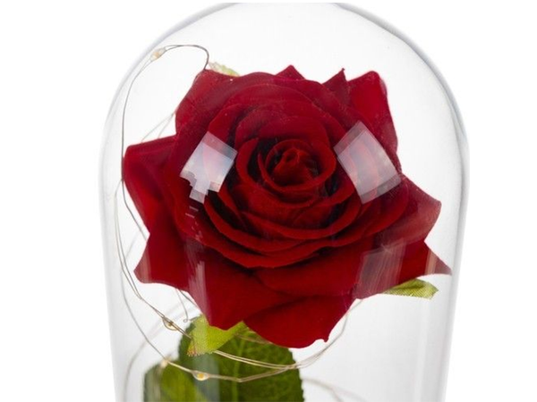 Everlasting rose in glass red led gift luminous for an occasion for women