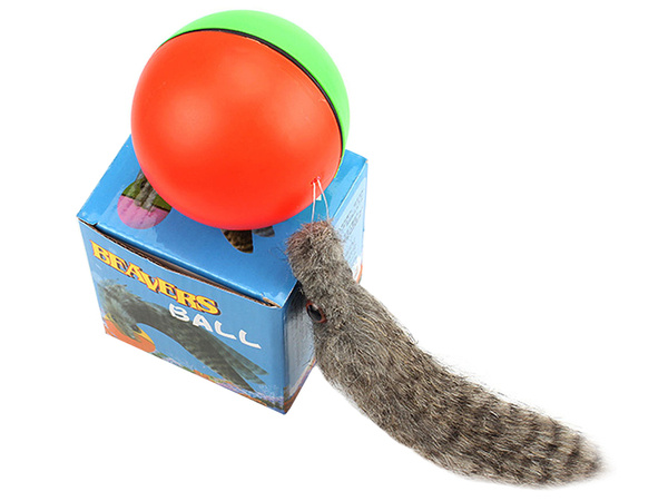 Ferret running ball runaway cat toy