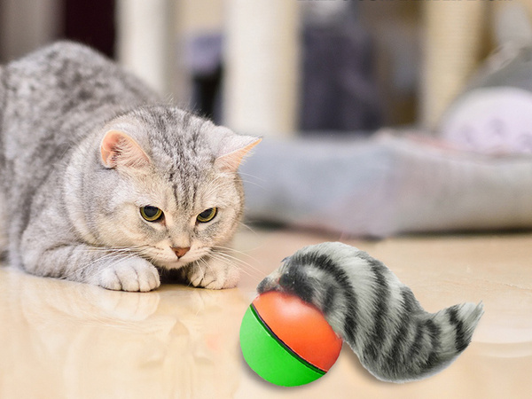 Ferret running ball runaway cat toy