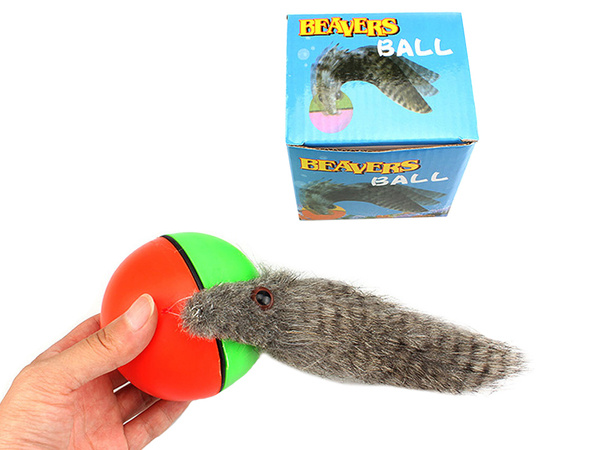 Ferret running ball runaway cat toy CATEGORIES Pet accessories Toys verk.store