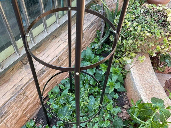 Garden pergola flower support column for climbing plants arch bell for roses 190