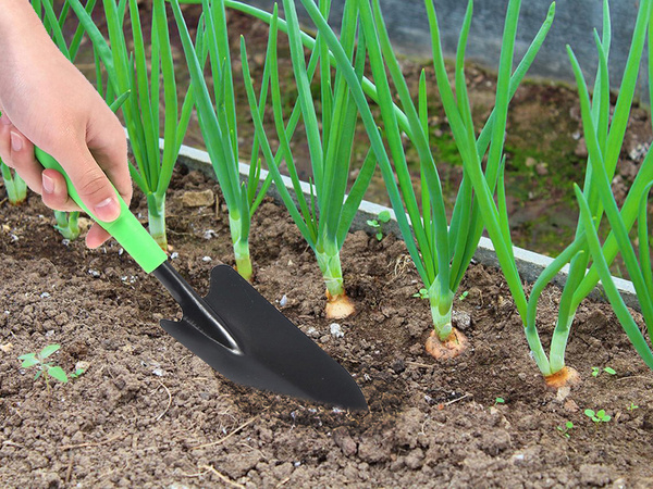 Garden spade for planting transplanting plants for quilting spade