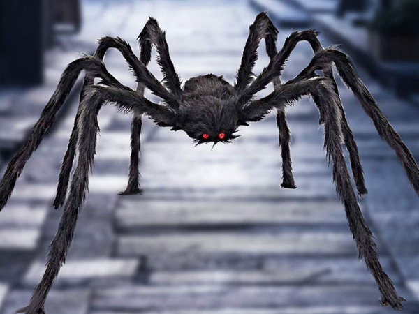 Halloween spider giant tarantula decoration