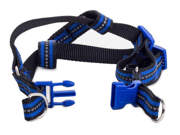 Harness for a cat dog + 1.5 cm reflective leash