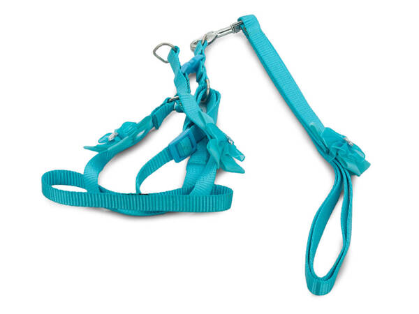 Harness leash for dog cat rabbit p1