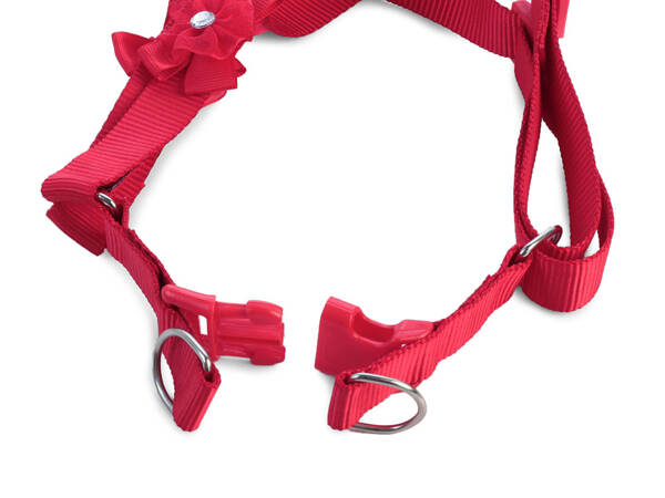 Harness leash for dog cat rabbit p1