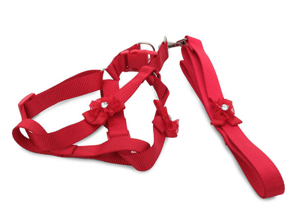 Harness leash for dog cat rabbit p2