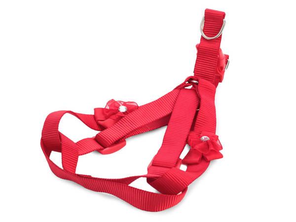 Harness leash for dog cat rabbit p2