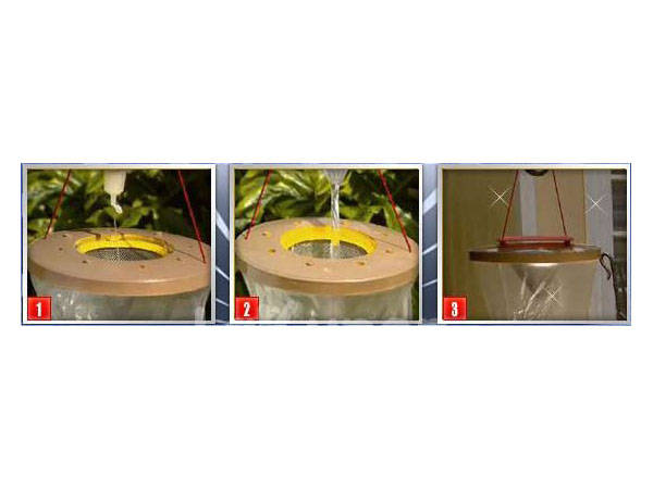 Insect trap attracting mosquitoes flies wasps insects