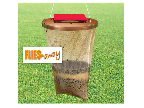 Insect trap attracting mosquitoes flies wasps insects