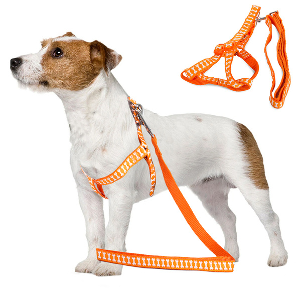 Leash with harness dog cat rabbit r2