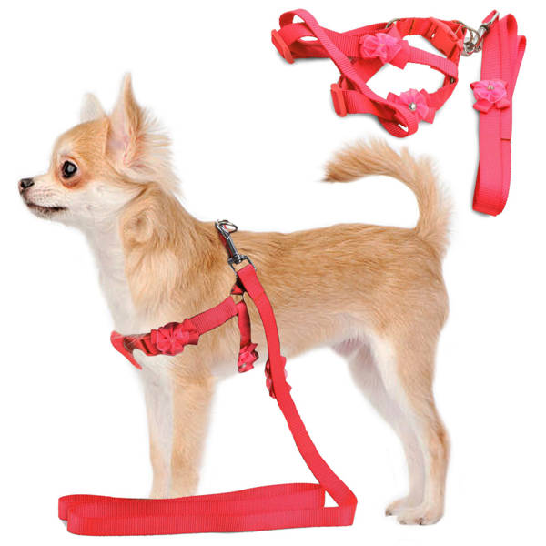 Leash with harness rabbit cat dog harness p2
