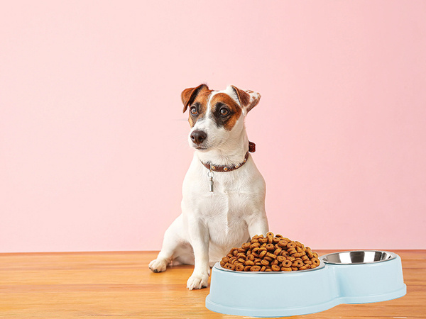 Metal double bowl for dog cat food water