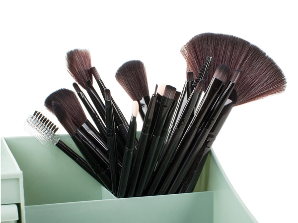 Set of 24 professional make-up brushes case