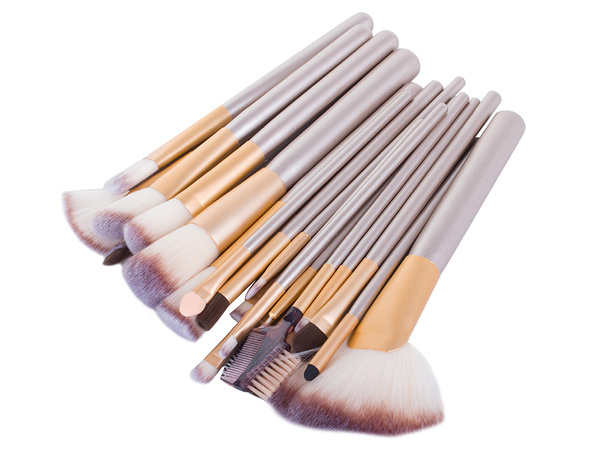 Set of 24 professional make-up brushes case