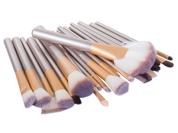 Set of 24 professional make-up brushes case