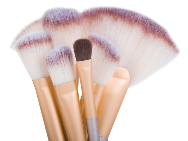 Set of 24 professional make-up brushes case