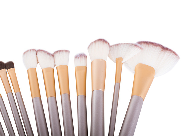 Set of 24 professional make-up brushes case