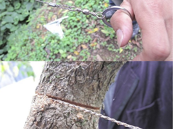 Travel wire hand saw survival