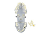 Dental model jaw teeth teeth implants